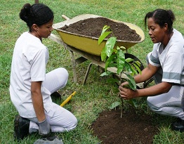 Politica Ambiental